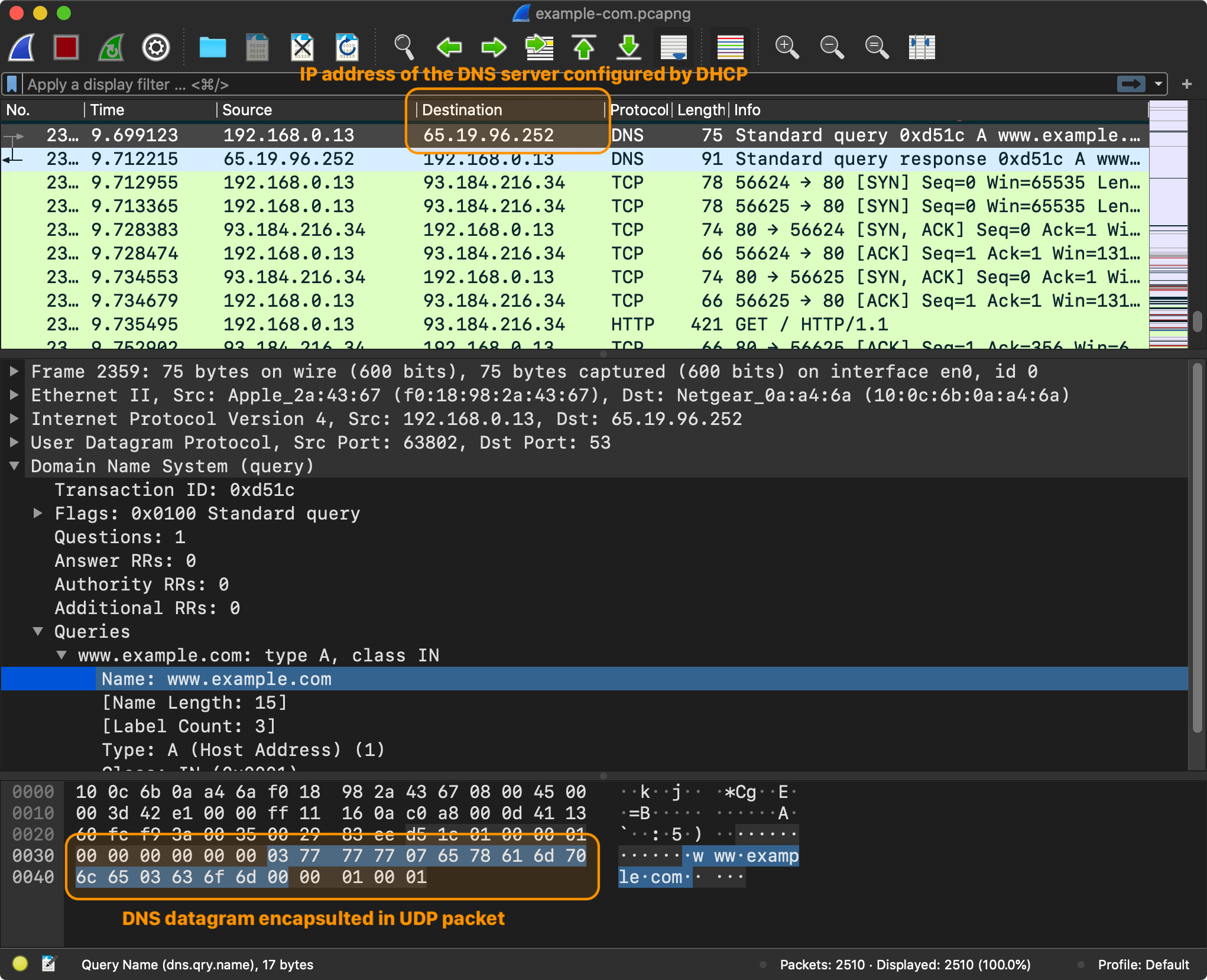 filter dns query wireshark