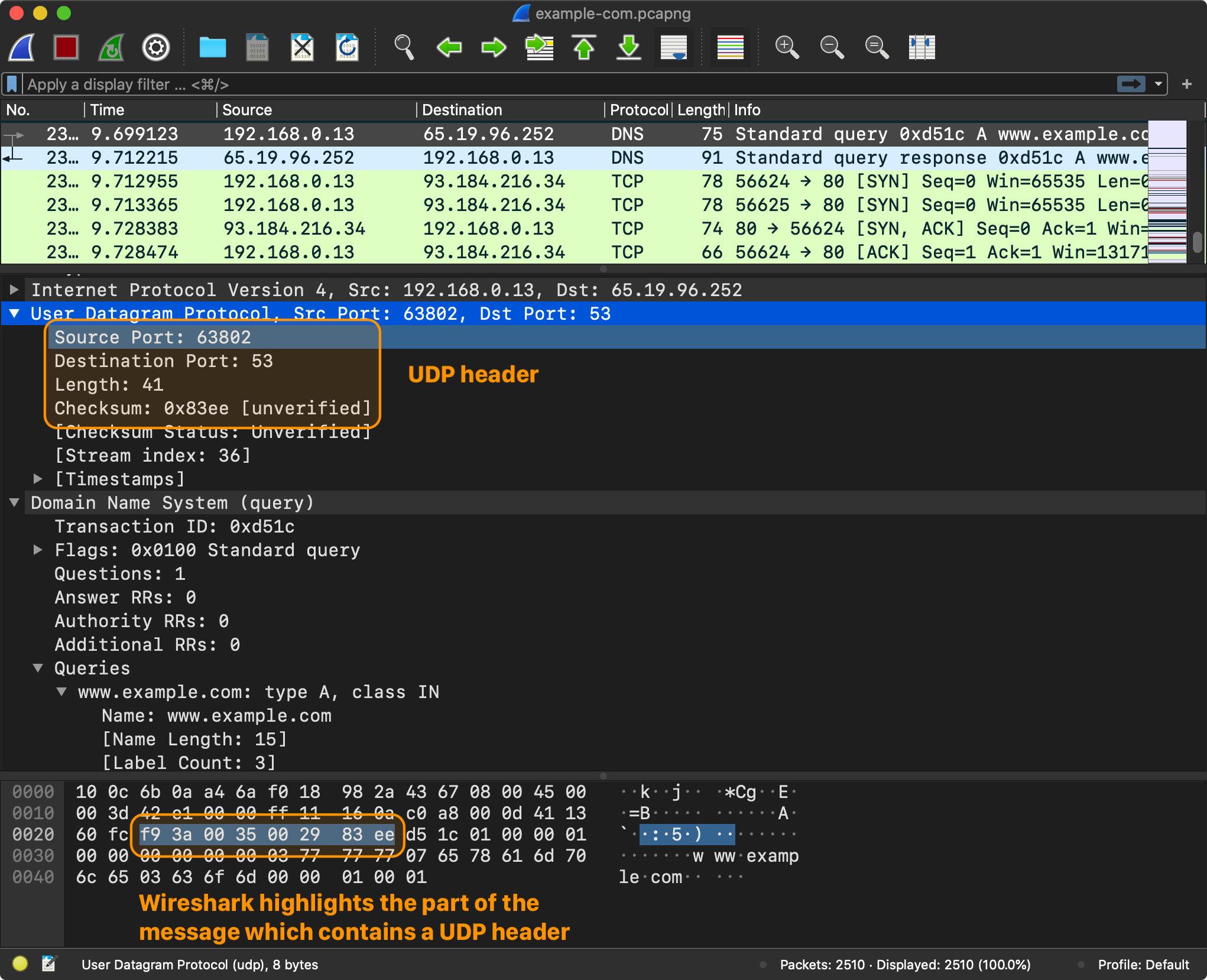 Wireshark capture: DNS packet