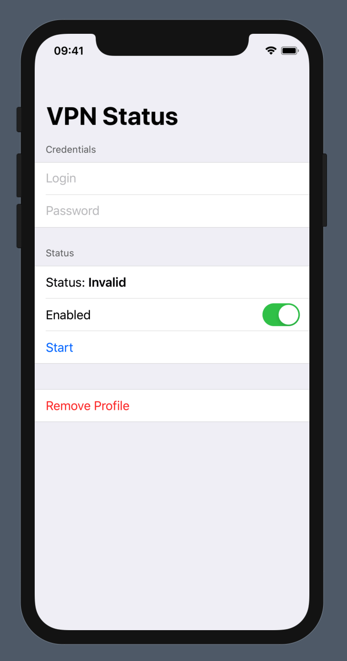VPN iOS app screenshot: details page
